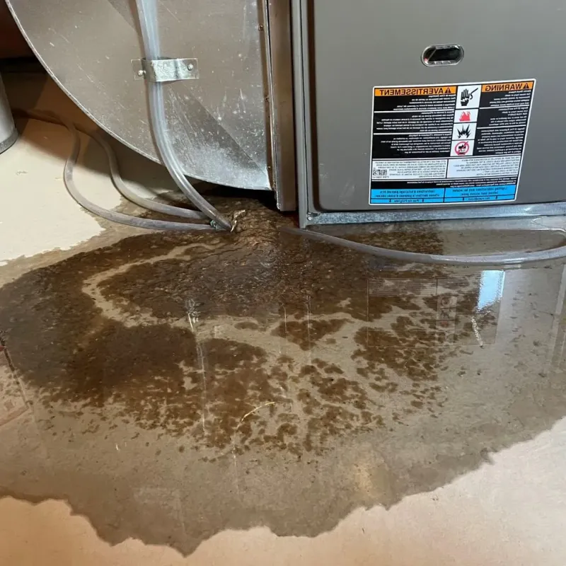 Pipe Burst and Leak Restoration in Lebanon, VA