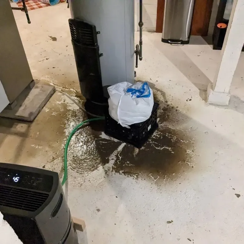 Sewage Backup Cleanup Service in Lebanon, VA